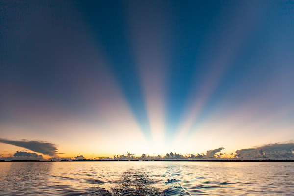 “Immagine simbolica di un cammino verso la luce, metafora della ricerca dell’obiettivo agognato.” "Symbolic image of a journey toward the light, a metaphor for the pursuit of the longed-for goal."